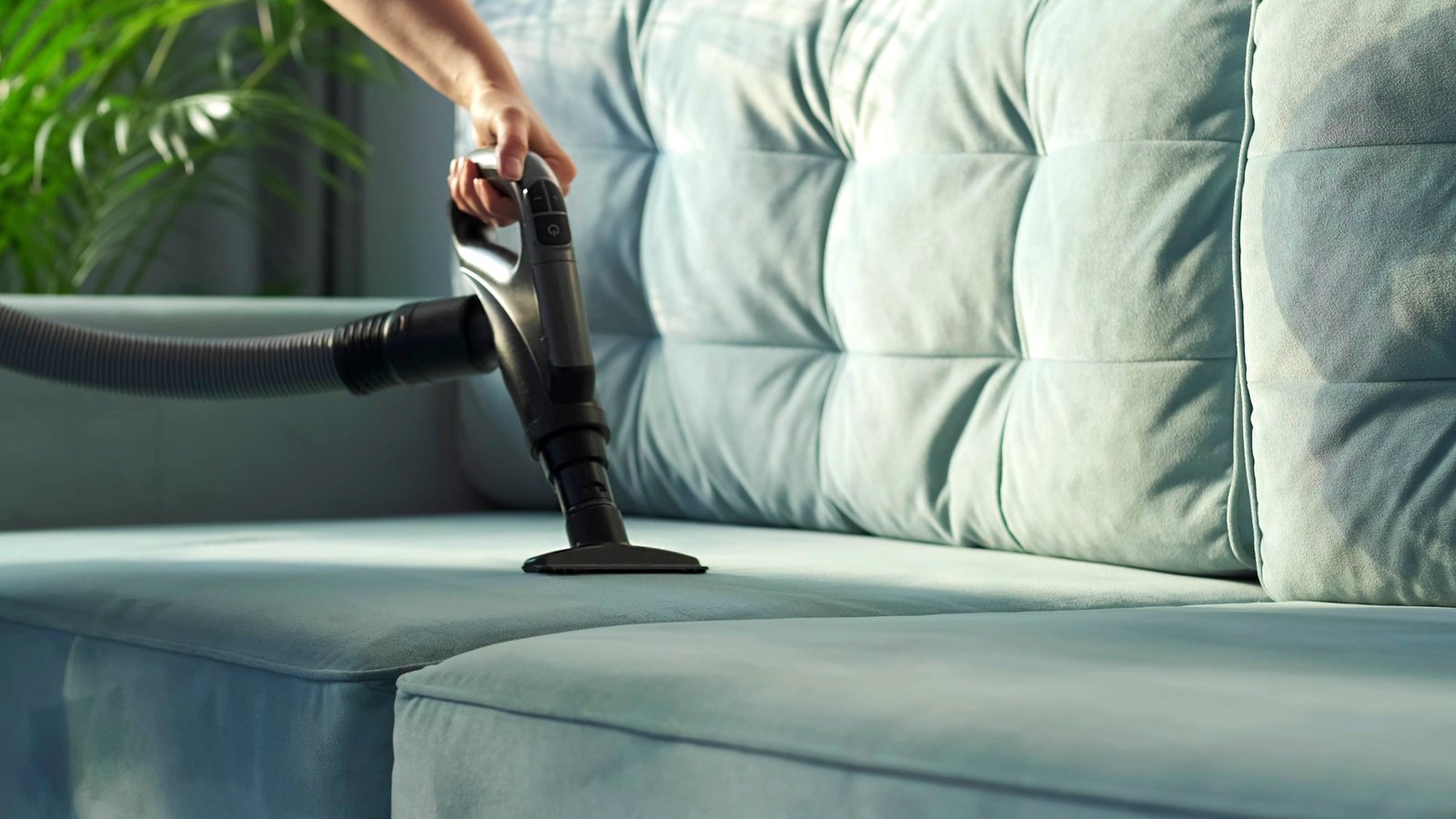 Polsterreinigung an einem Sofa